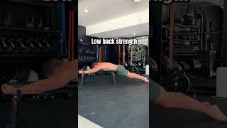 Low back strength exercise [upl. by Rob]