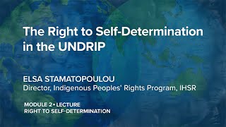 IPRx  212 The Right to SelfDetermination in the UNDRIP  Indigenous Peoples Rights [upl. by Arem]