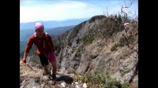 Border Terrier goes mountainbiking amp mountainclimbing [upl. by Marja]