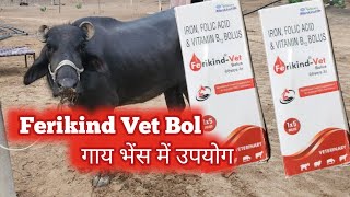 FerikindVet Bolus पशुओं में उपयोग सम्पूर्ण जानकारी [upl. by Kris9]