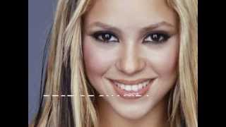 best of shakira 2013 remix megamix dance club pop [upl. by Eelymmij]