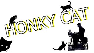 HONKY CAT • Elton John amp Vinicius Sousa Solo  Keyboard amp Piano Cover [upl. by Nuaj]