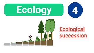 Ecological succession in hindi  Primary and secondary succession  bsc 3 year [upl. by Ofella]