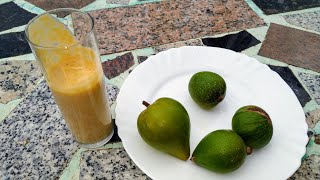 Lucuma Pouteria lucuma Milkshake  better than the fruit [upl. by Faith]