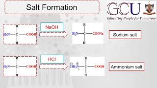 Biochemistry Lecture6  Chemical Properties of Amino Acids  Alkylation I Acylation Deamination [upl. by Atalayah]