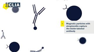 The CLIA immunoassay  How do kits work [upl. by Aitra]