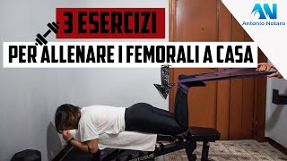 3 Esercizi per i femorali in casa [upl. by Rattray]