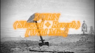 Kanye West Ty Dolla ign  Burn Slowed  Reverb lyric video [upl. by Yarw]