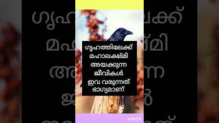 ഗൃഹത്തിലേക്ക് മഹാലക്ഷ്മി അനുഗ്രഹവുമായി കടന്നു വരുന്ന ജീവികൾ shorts astrology [upl. by Onaimad]