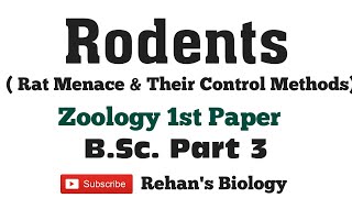 Rodents Rat Menace amp its Control BSc Part 3 Zoology 1st Paper Rehans Biology [upl. by Stempien]