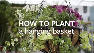 How to plant a hanging basket  Grow at Home  Royal Horticultural Society [upl. by Koziara]