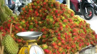 A Rambutan  Lychee Fruit Comparison  Nephelium lappaceum [upl. by Hemetaf]