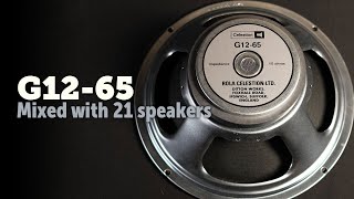 Celestion G1265 21 speakers Shootout [upl. by Ynoffit]