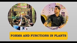 Class 11th  Forms And Functions In Plant  Lecture 2  Gaseous Exchange In Plants [upl. by Girhiny549]