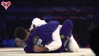 BJJ Highlights  Brazilian Jiu Jitsu 2012  2013 [upl. by Pompei]