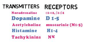 What are Neurotransmitters and their receptors [upl. by Romina482]