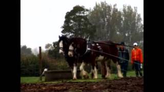 WHHA Easter Ploughing 2011 Championship [upl. by Latyrc]