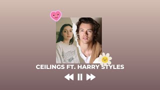 Ceilings by Lizzy McAlpine ft Harry Styles [upl. by Apoor]