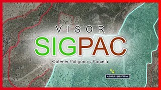 Visor SIGPAC Obtener Polígono y Parcela [upl. by Euqnomod]