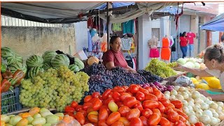 Nordeste é show na feira de rua em palmeira dos índios e demais cidade de Alagoas [upl. by Derrek]