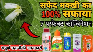 Whitefly Control top 7 best insecticide combinations सफेद मक्खी का 100 सफाया white fly control [upl. by Lrub]