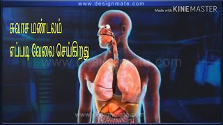 Mechanism of breech presentation [upl. by Treiber]