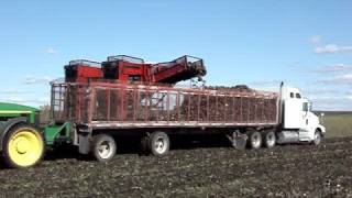 beet harvest 2008 [upl. by Oirromed]