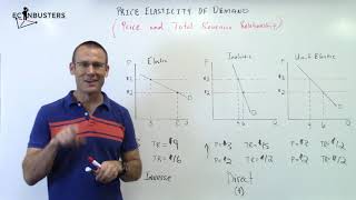 PED How Price Changes Impact Total Revenue [upl. by Eisej406]