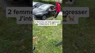 Il a pris les clés de leur voiture 😨😤 chien malinoi nino dog ninolemalou sécurité [upl. by Eanal]