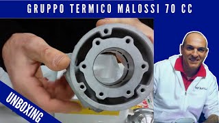 Gruppo termico Malossi MHR Flanged Mount 70 cc ricambio 3115901 [upl. by Miksen]