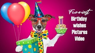 20 Funniest birthday wishes quotes messages images and pictures in 2022 ✔️ [upl. by Yblocaj]