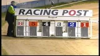 Top Savings  Racing Post Juvenile Championship 2002 [upl. by Lamhaj]