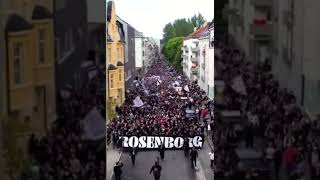 Rosenborg supportere marsjerer til Lerkendal før kampen mot Molde🔥 [upl. by Lombard418]