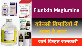 Flunixin meglumine inj use in veterinary [upl. by Tace429]