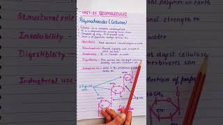 biomolecules  class 12  video 30 chemistry ytshorts shortsvideo short [upl. by Nairadas]