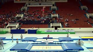 LITVINOVICH Ivan BLR  2018 Trampoline Worlds St Petersburg RUS  Qualification Trampoline R2 [upl. by Lowell]