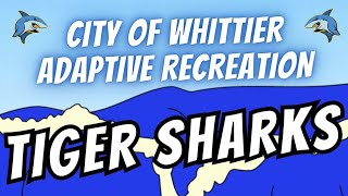 City of Whittier Adaptive Recreation Recreational Swimming [upl. by Grof311]