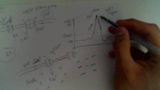 Neurophysiology 2 Depolarisation amp Repolarisation [upl. by Idram]