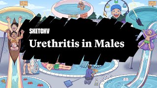 Urethritis in Males Lesson Part 1  Sketchy Medical  USMLE Step 2 CK [upl. by Guod]