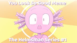 You Look So Good Meme  The Helmsman Series 1 [upl. by Niahs]