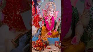 गणेश चतुर्थी स्पेशल ❤️🙏 ganeshchaturthi ganesh bappa shorts sunnyugrejiya [upl. by Aizahs]