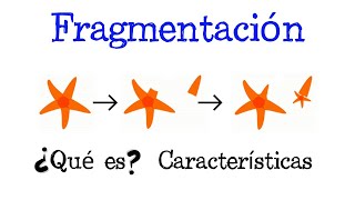 💥 ¿Qué es la Fragmentación 💥 Fácil y Rápido  BIOLOGÍA [upl. by Lokcin]