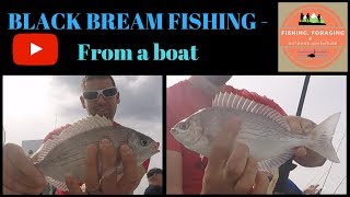 CATCHING BLACK BREAM  Charter boat fishing on ultra light tackle [upl. by Morganstein995]