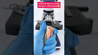 Melihat biskuit wafer dengan mikroskop🤤 fakta faktaunik experiment [upl. by Erme]