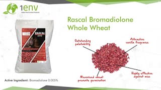 Rascal Bromadiolone Whole Wheat Informational Video [upl. by Ardnait]