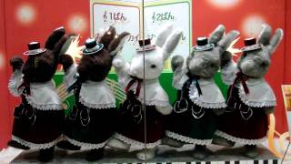 Dancing Rabbits ダンシングラビッツ2009（ジングルベル） [upl. by Ike]