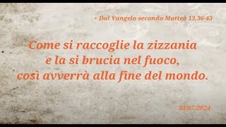 1487  Come si raccoglie la zizzania e la si brucia nel fuoco così avverrà alla fine del mondo [upl. by Elephus286]