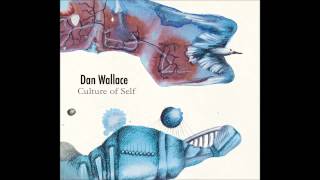 Dan Wallace  Capsule [upl. by Banna]