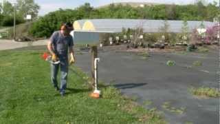 STIHL FSA 65 Battery Powered Trimmer Demonstration [upl. by Horter630]