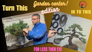 How to Style a Juniper Bonsai from Scratch Garden Center Edition For £10 Our Less [upl. by Yvel]